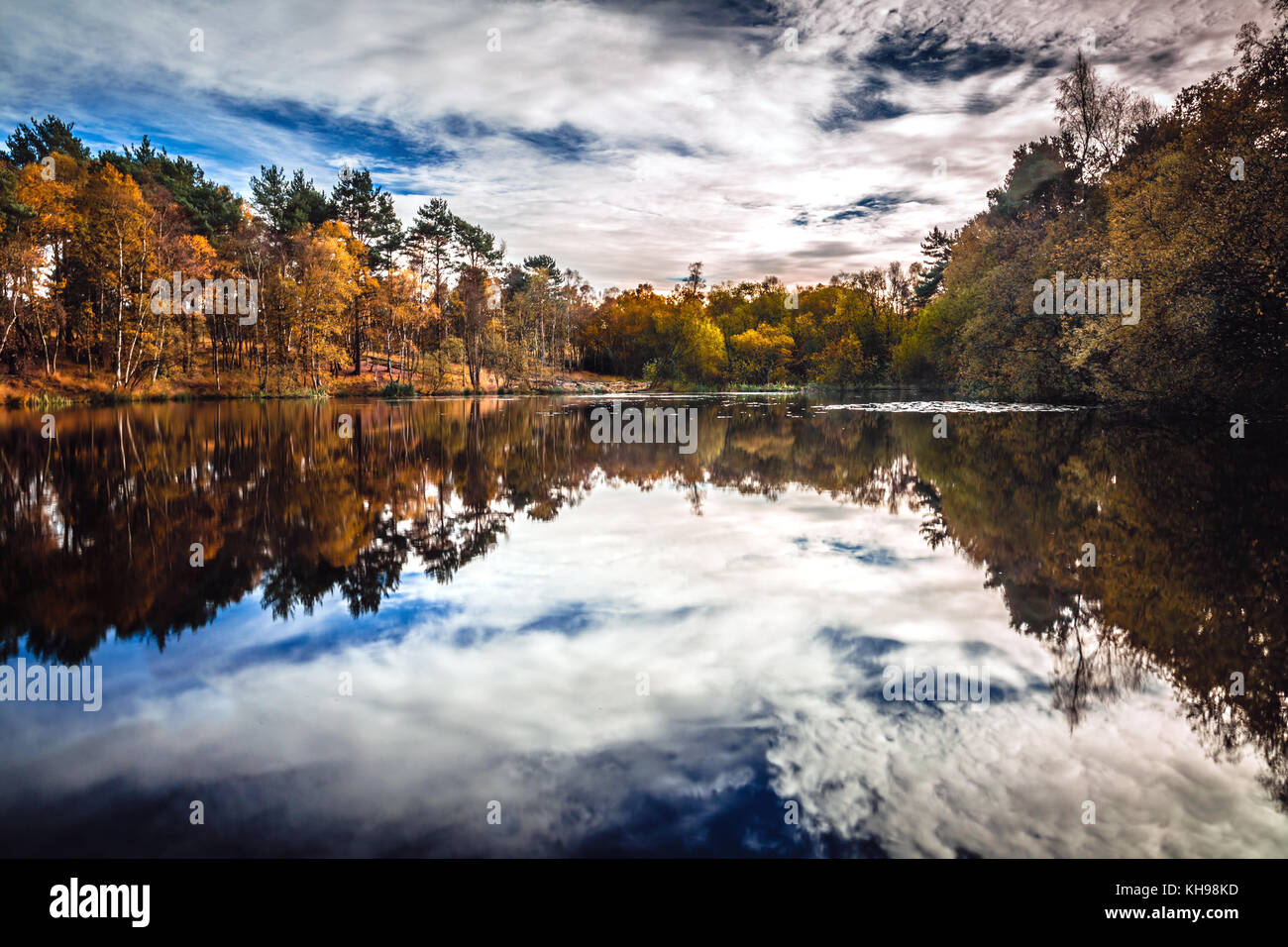 View of Wyndhams Pool / pond / lake in Autumn in Yateley Common Country Park, Hampshire, UK Stock Photo