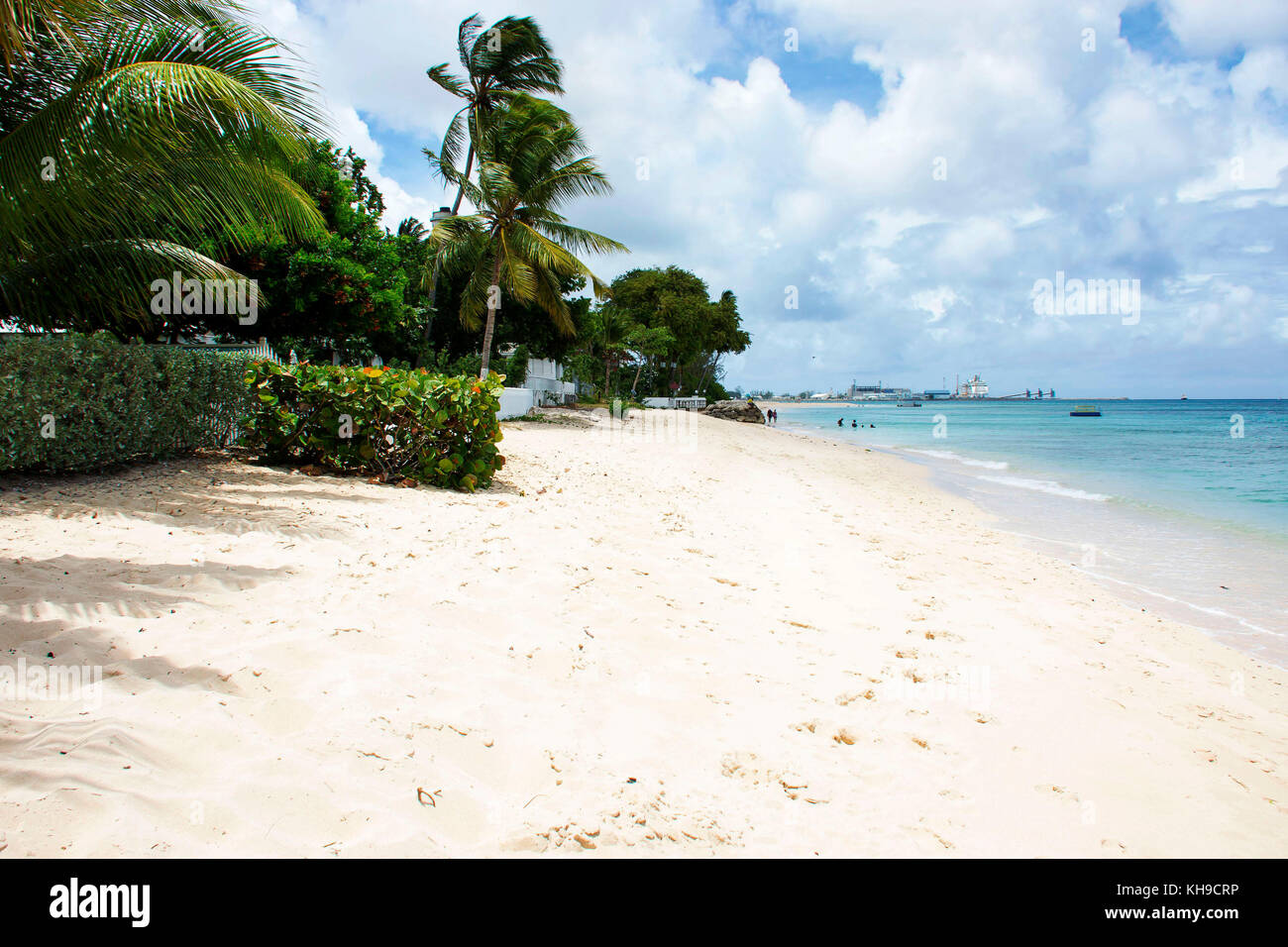 Beaches in Barbados Stock Photo Alamy