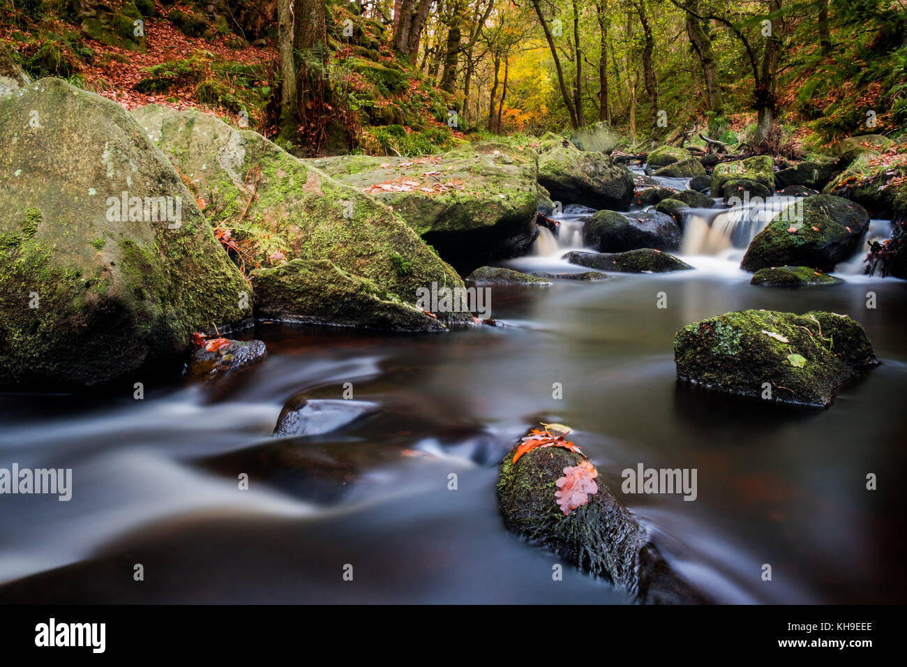 This image of Padley Gorge in the Peak District, Derbyshire was taken using a slow shutter speed making the water appear like silky, molten chocolate. Stock Photo