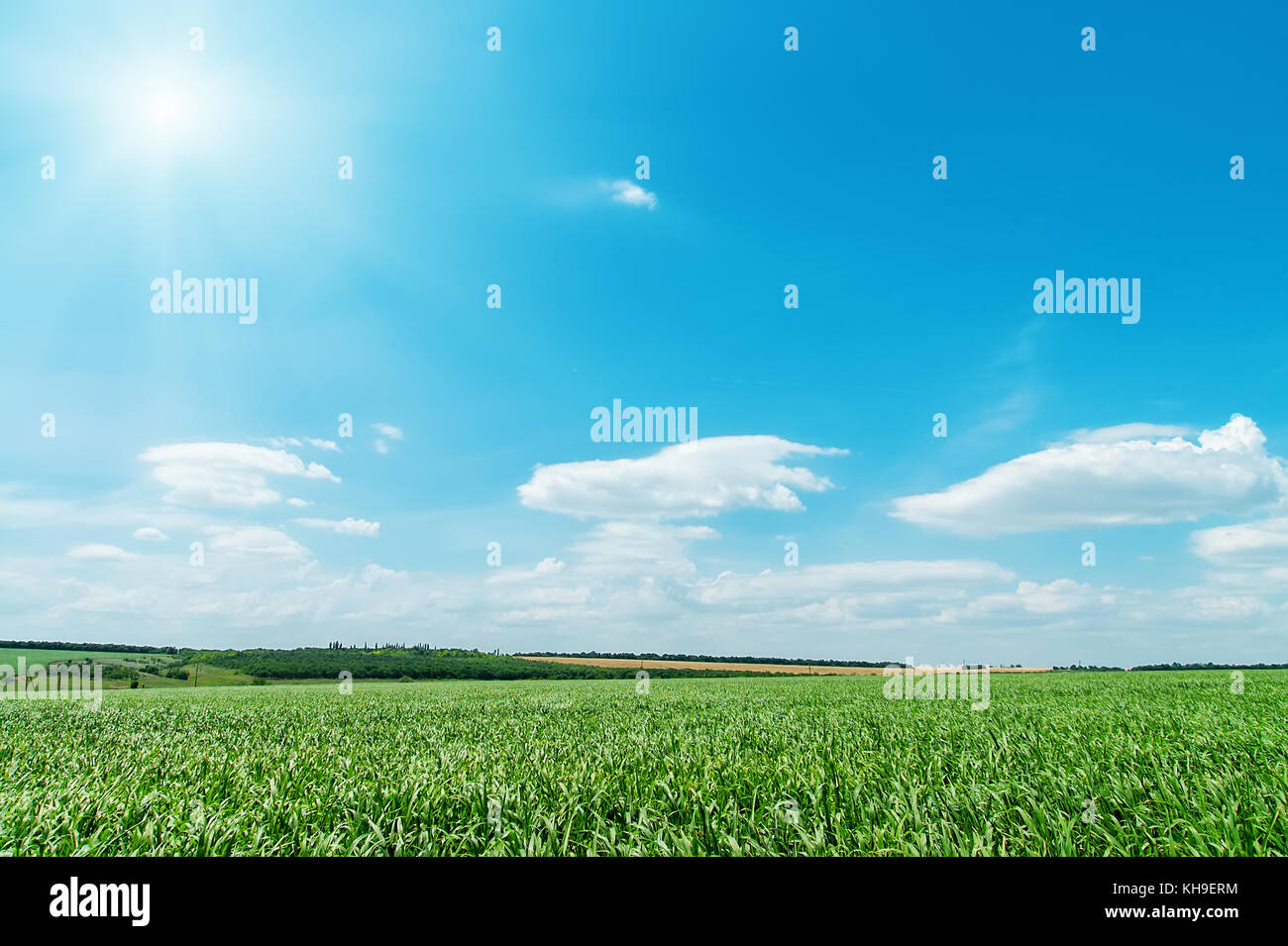 green field and blue sky with sun Stock Photo - Alamy