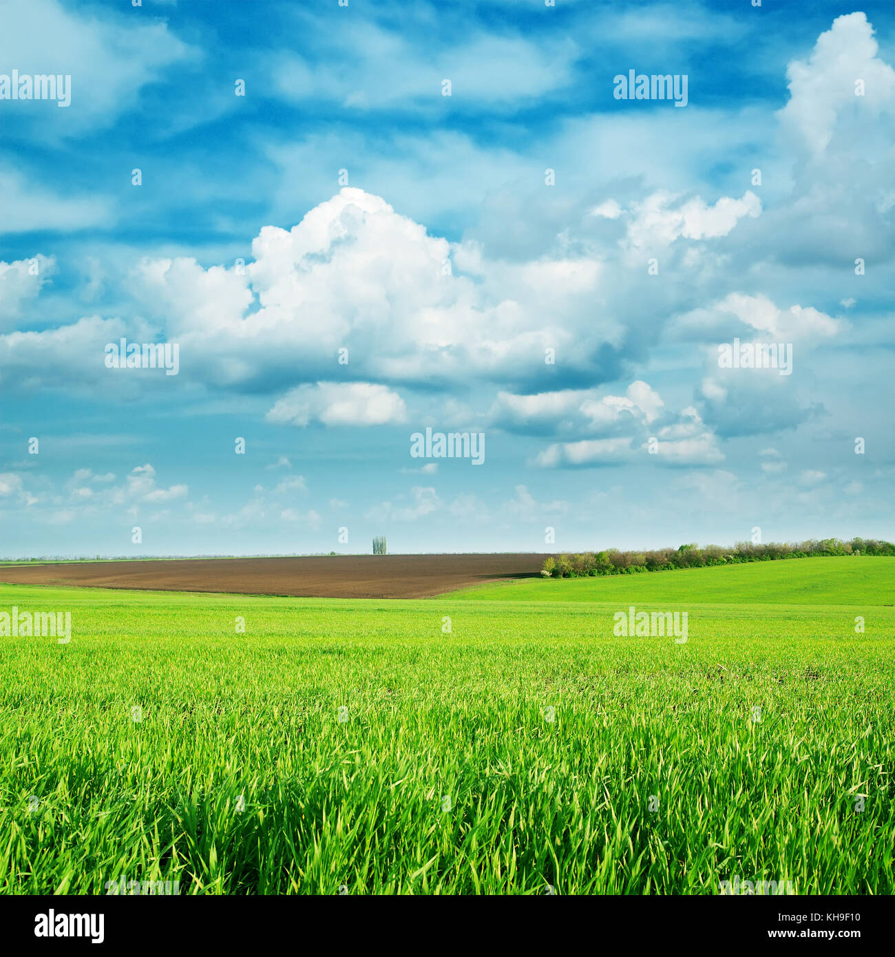 green fields and cloudy sky Stock Photo - Alamy