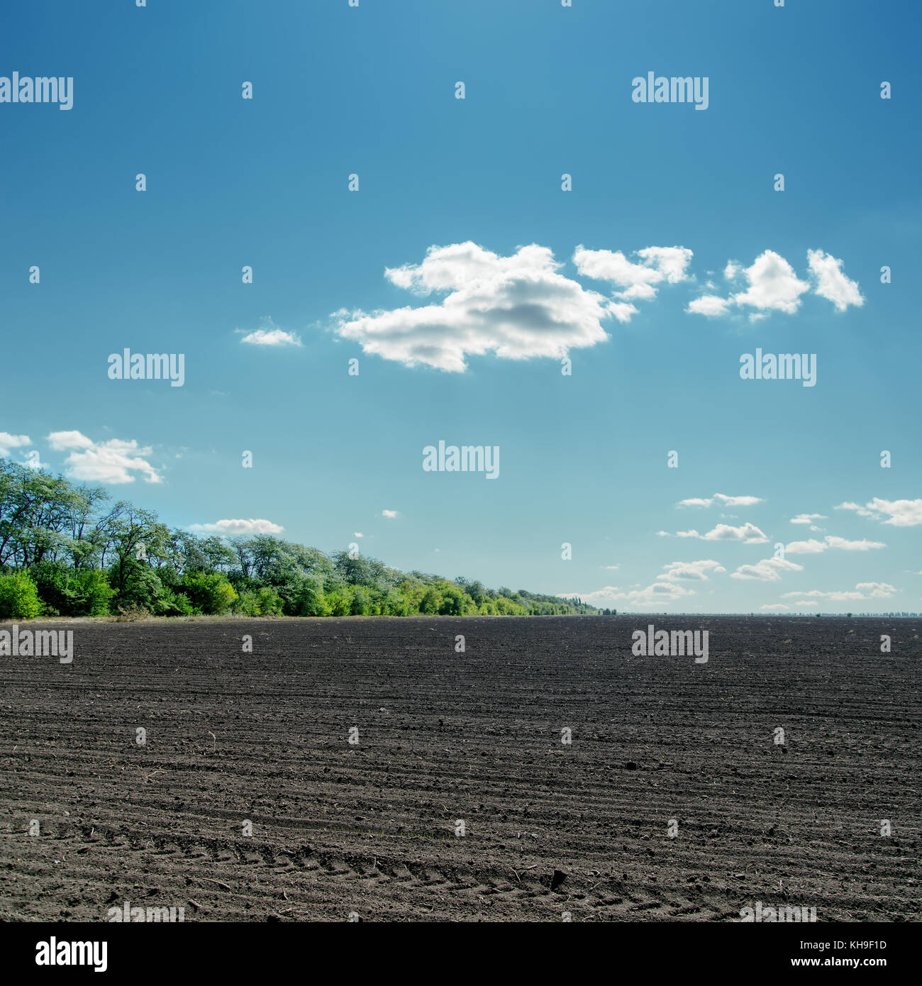 black field under cloudy blue sky Stock Photo - Alamy