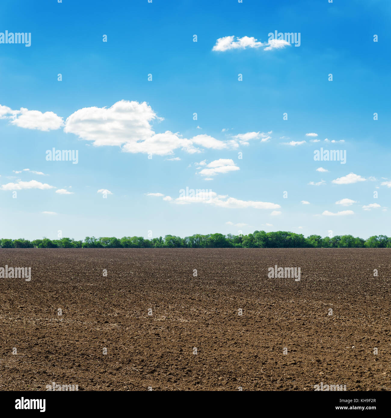 plowed black spring field and white clouds on blue sky Stock Photo - Alamy