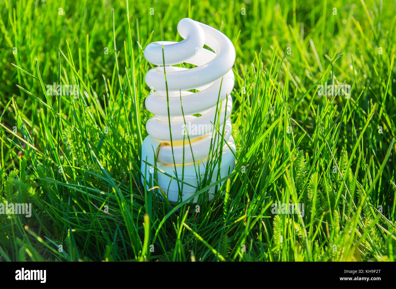 white energy saving bulb in green grass Stock Photo - Alamy