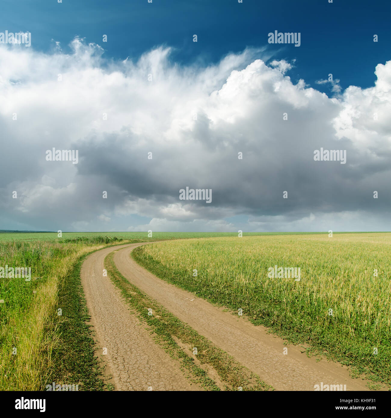 dirty road in fields and low clouds on horizon Stock Photo - Alamy
