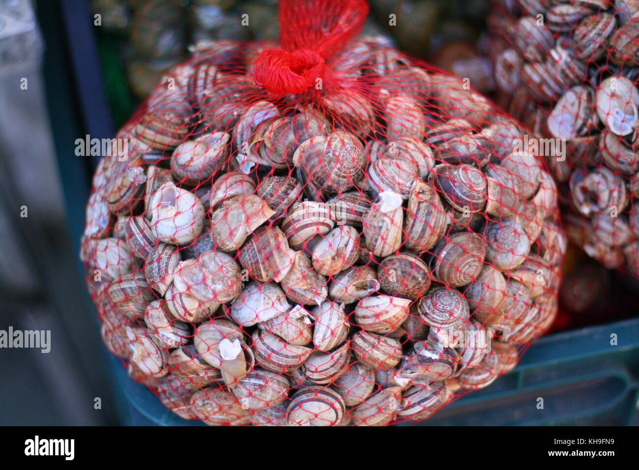 Edible snails hi-res stock photography and images - Alamy