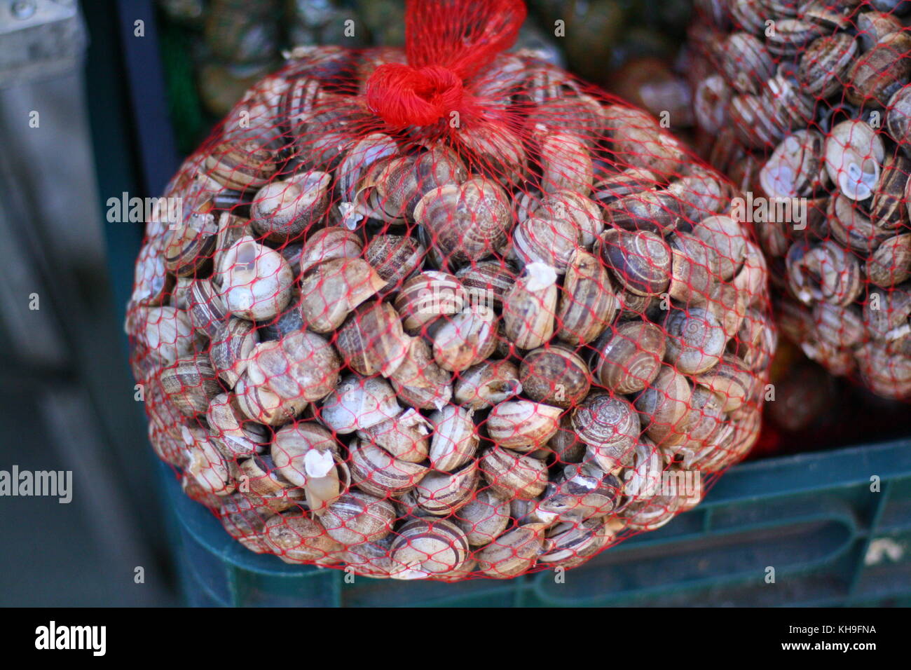 Edible snails for sale at the food market Stock Photo Alamy