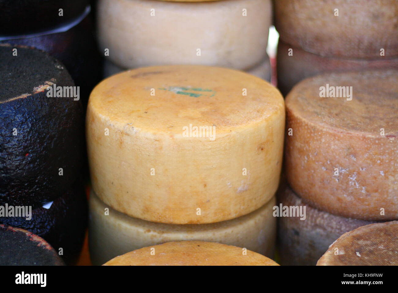 Beautyful fresh whole cheese wheel rounds of pecorino romano Stock