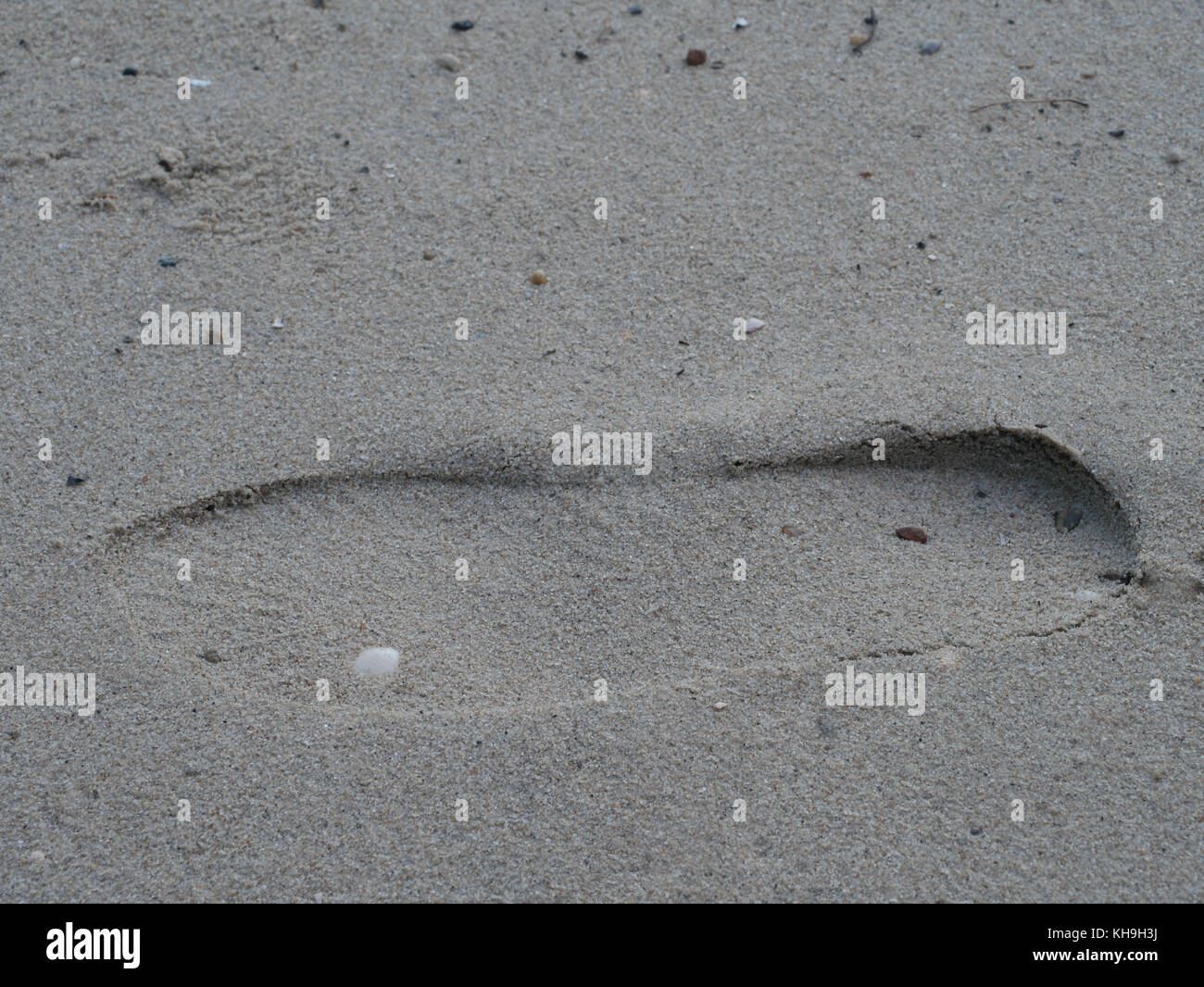 shoe print on sand at the beach Stock Photo - Alamy