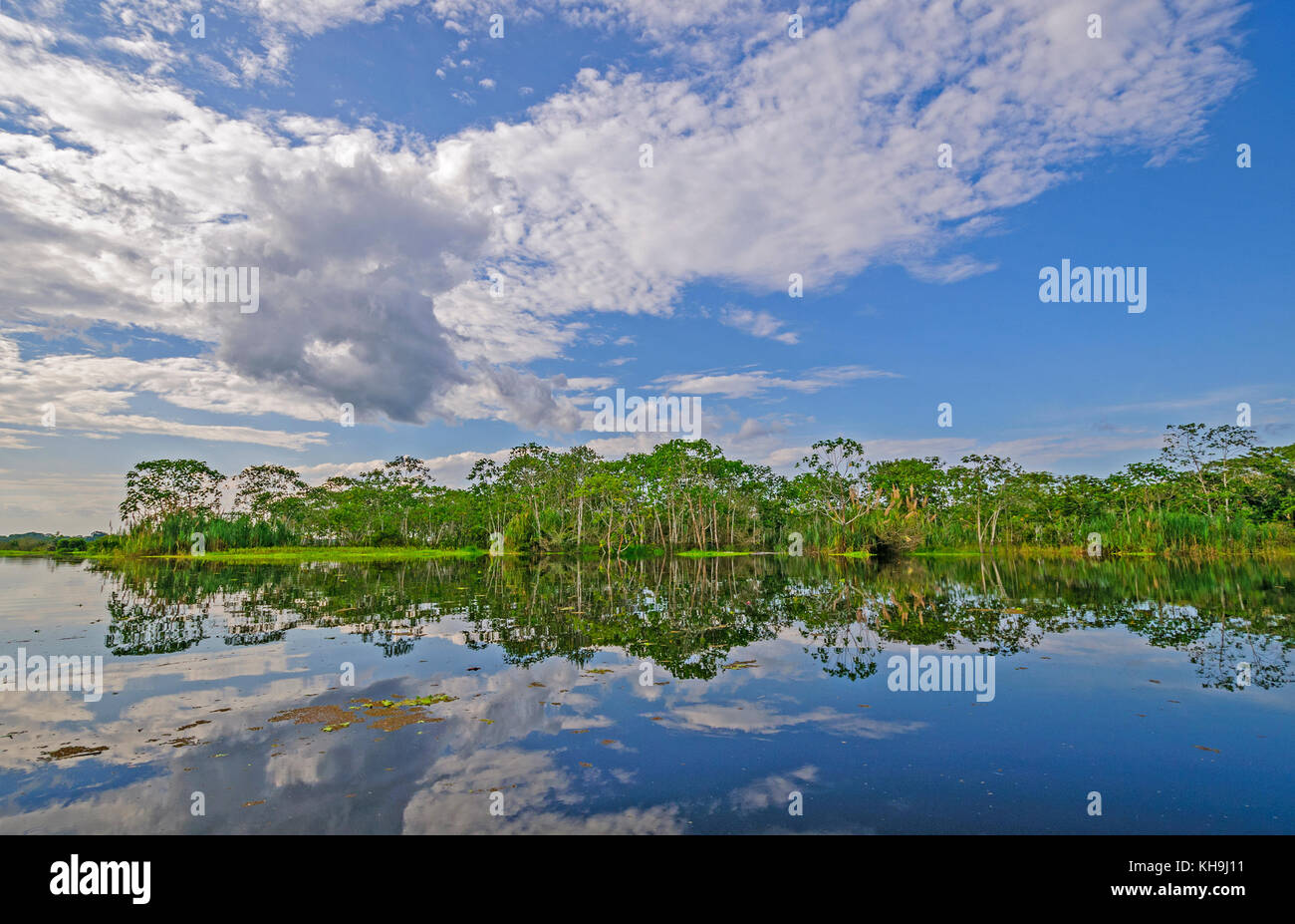 Tributary to the amazon river hi-res stock photography and images - Alamy