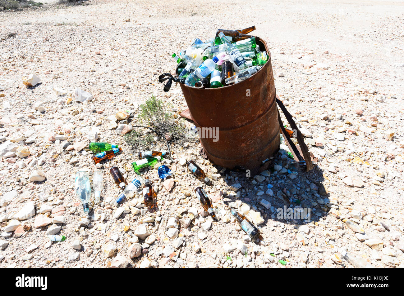 Bin overflowing with beer bottles, New South Wales, NSW, Australia Stock Photo