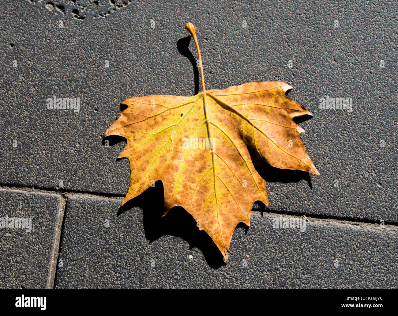Autumn Time Stock Photo