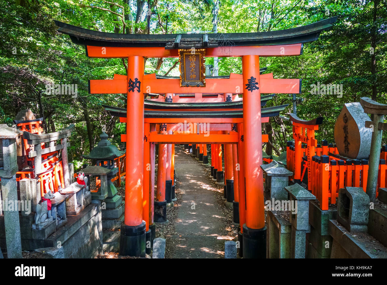 Fushimi Inari Taisha Torii Shrine, Kyoto, Japan Stock Photo - Alamy