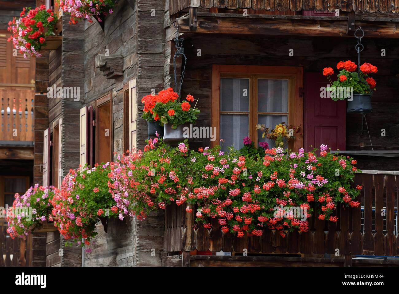 Windows from Switzerland with many flowers Stock Photo - Alamy