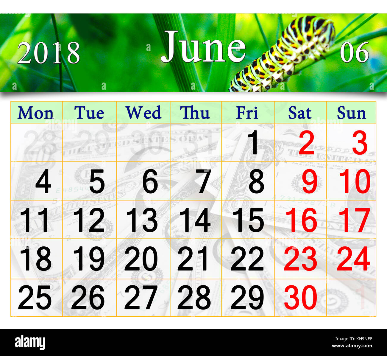 Calendar for june 2018 with caterpillar of butterfly stock photo alamy