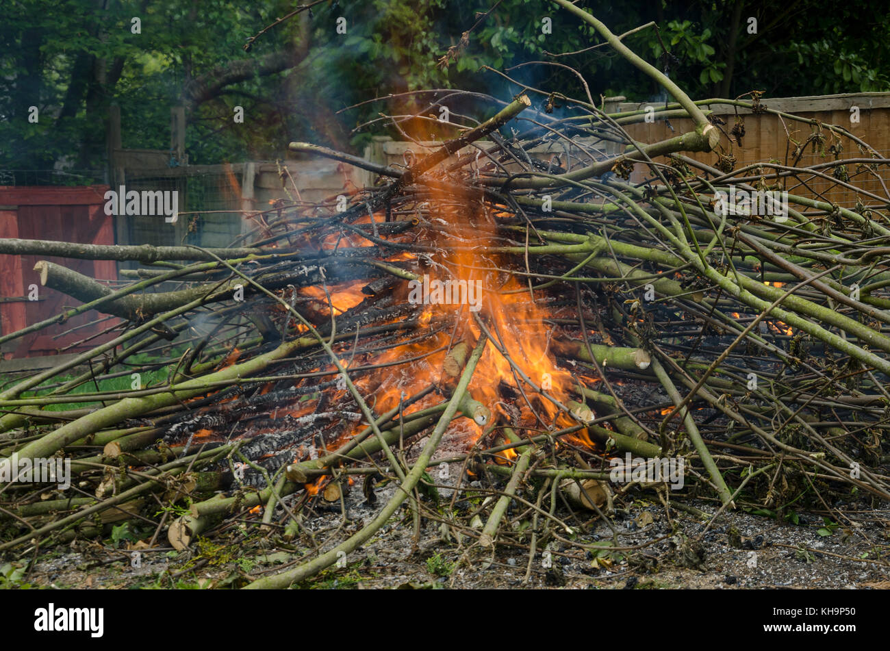 Gigantic pile of sycamore branches twigs starting to burn catch alight in back yard garden releasing trapped carbon back into atmosphere Stock Photo