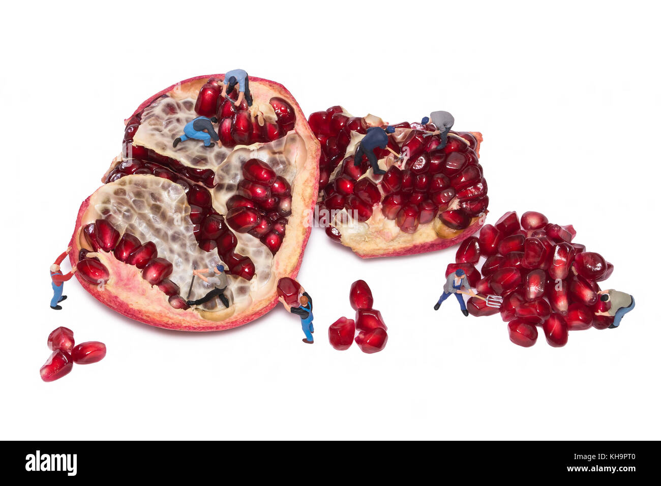 Creative concept with miniature workers take out the seeds of the pomegranate. Peoples break pomegranates. Teamwork. People cut fruit. Take garnet gra Stock Photo