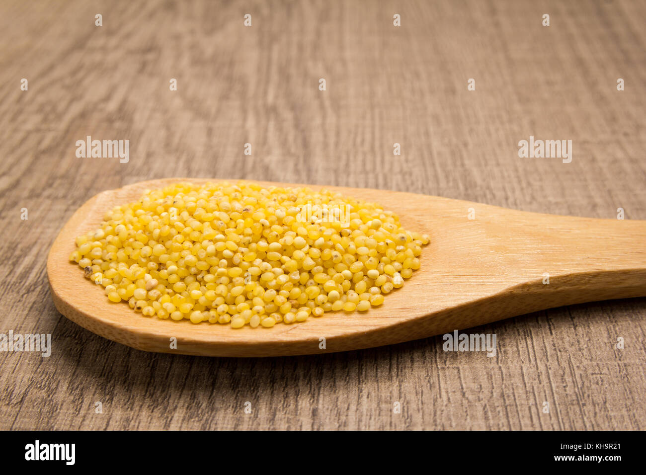 Panicum miliaceum is scientific name of Proso Millet cereal grain. Also