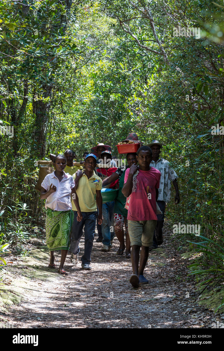 Villagers carrying food, walk to a Zebu sacrifice ceremony, Lake Ampitabe, Toamasina, Madagascar, Africa Stock Photo