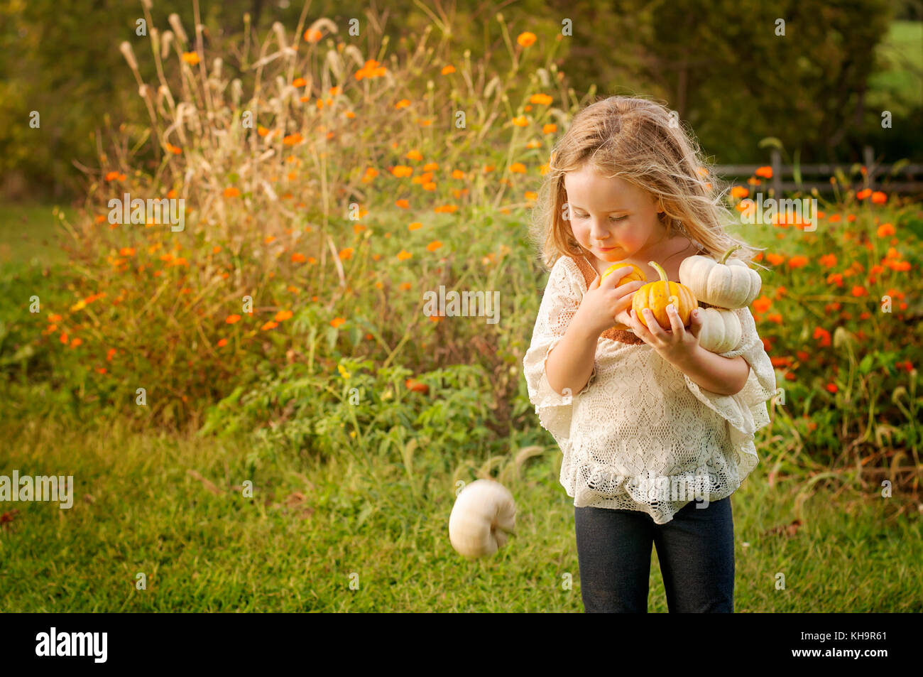 young girl holding pumpkins Stock Photo
