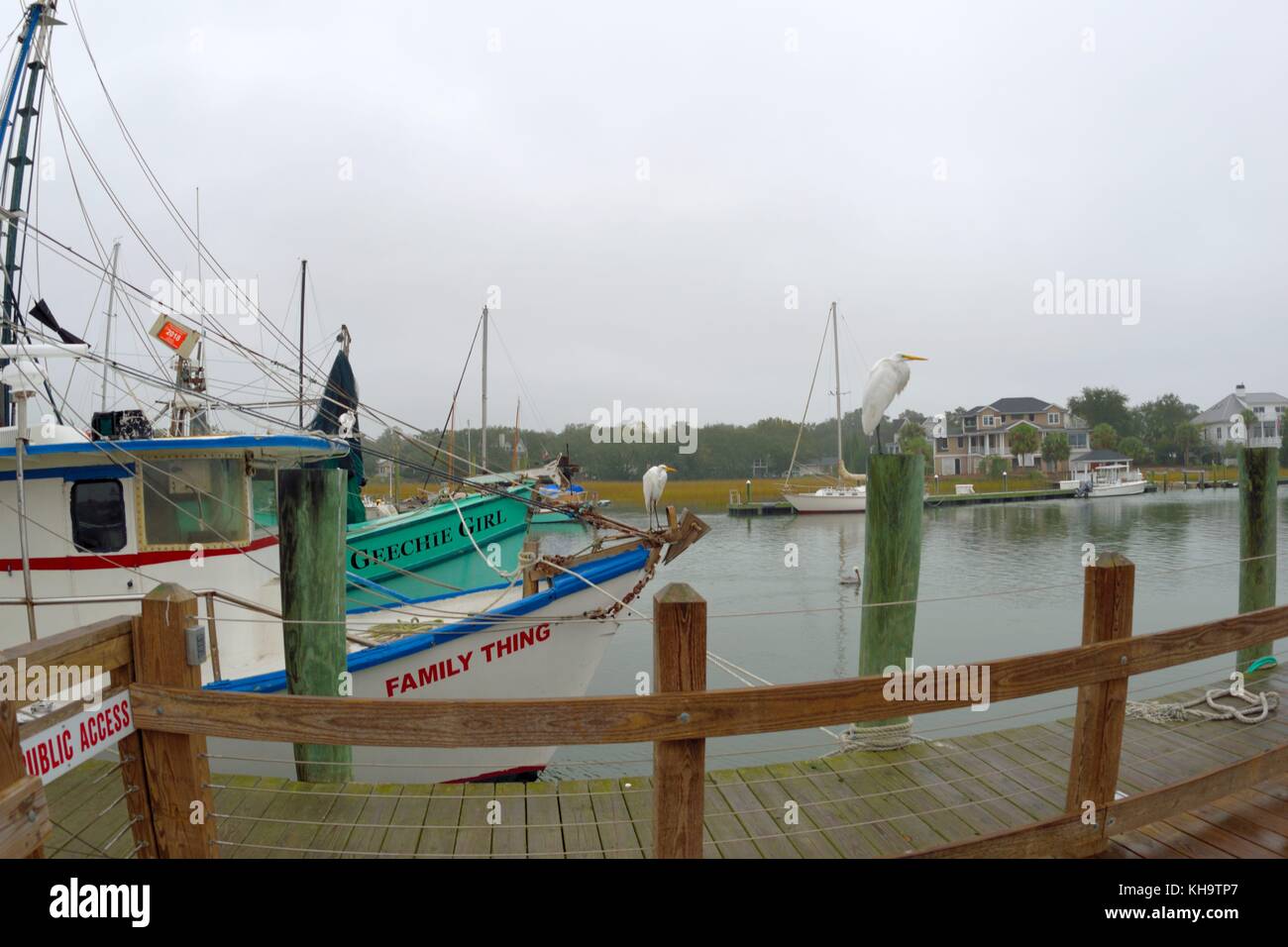 Shrimp boats pelicans hi-res stock photography and images - Alamy