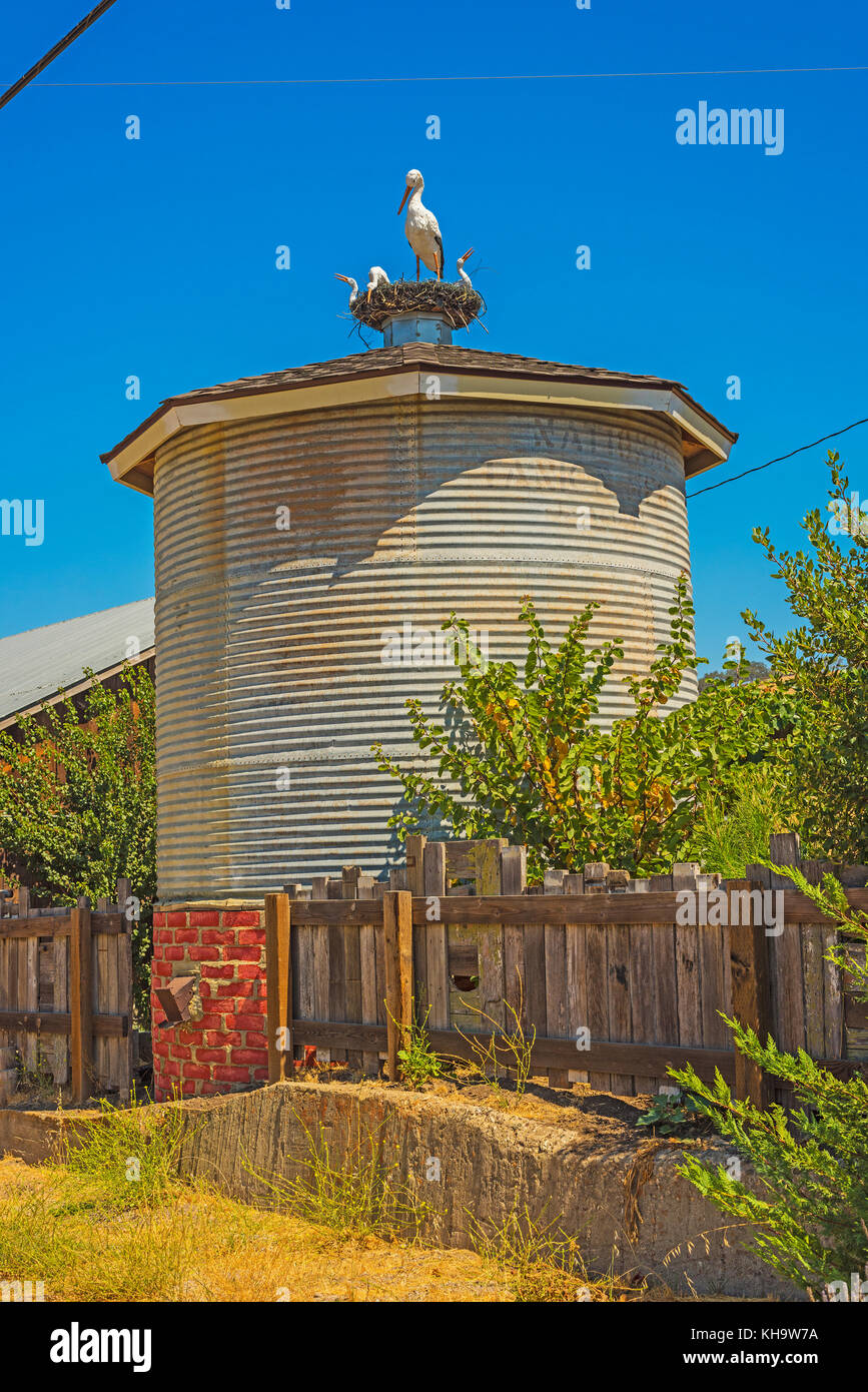 Clear blue sky organic farm buellton hires stock photography and images Alamy