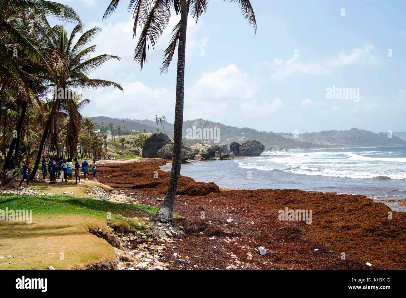 Bathsheba Beach; Bathsheba; ST. Joseph; Barbados Stock Photo Alamy