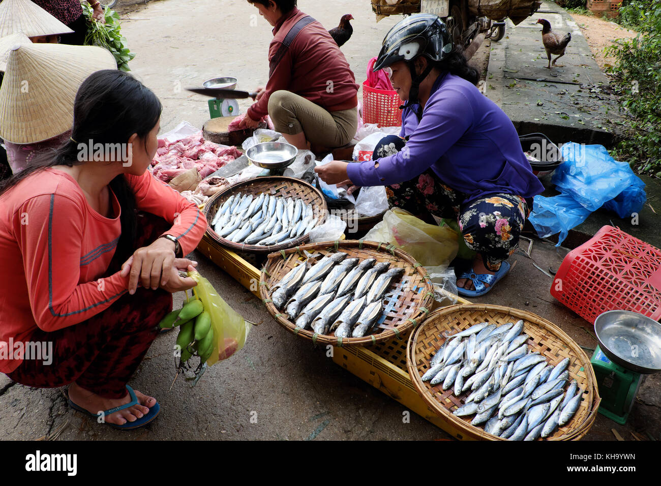 Group of Vietnamese woman purchase fish at outdoor farmer market at Vietnam countryside, traditional market at morning, food on ground of roadside Stock Photo