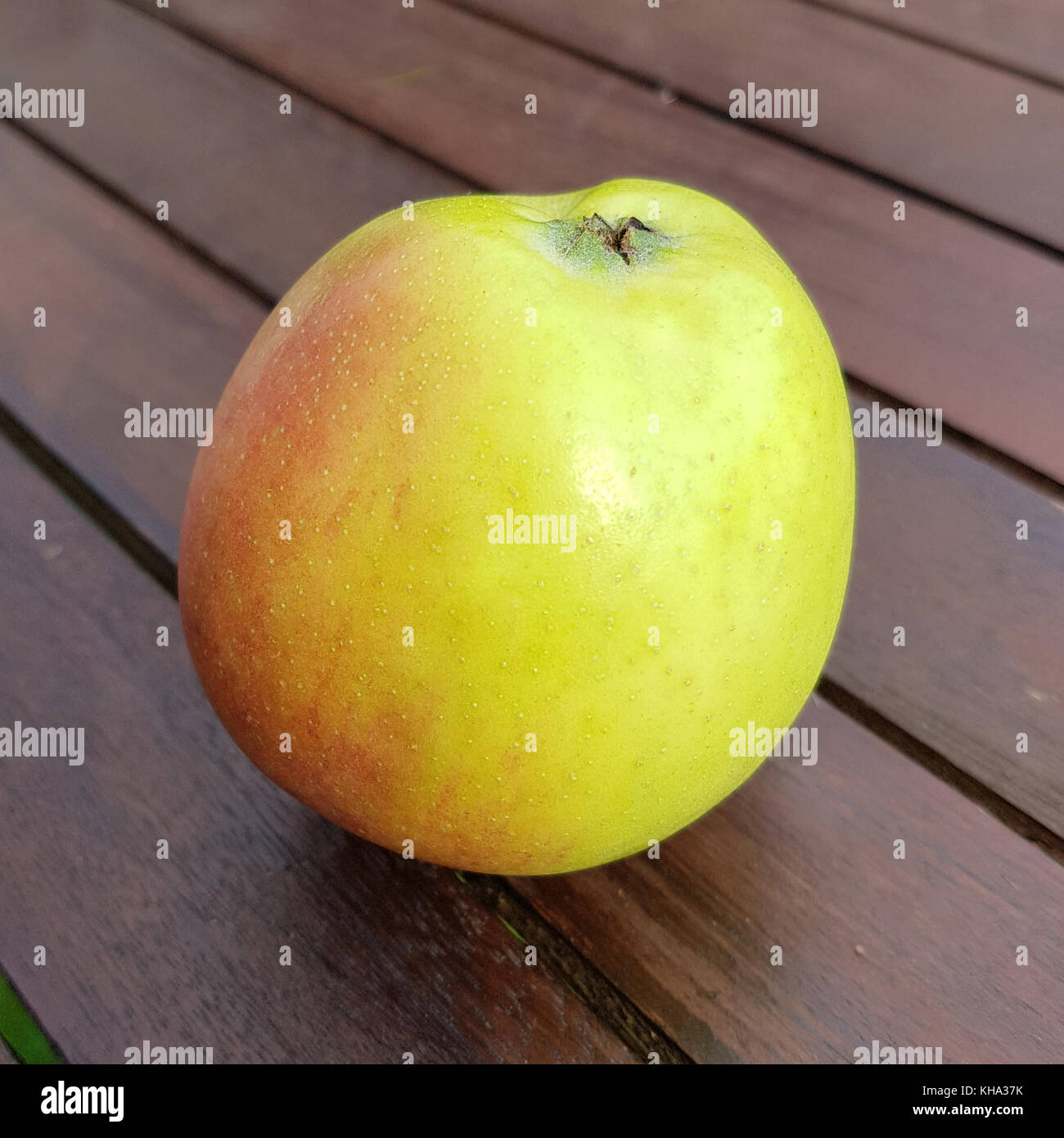 Grner Apfel Alte Sorte 1