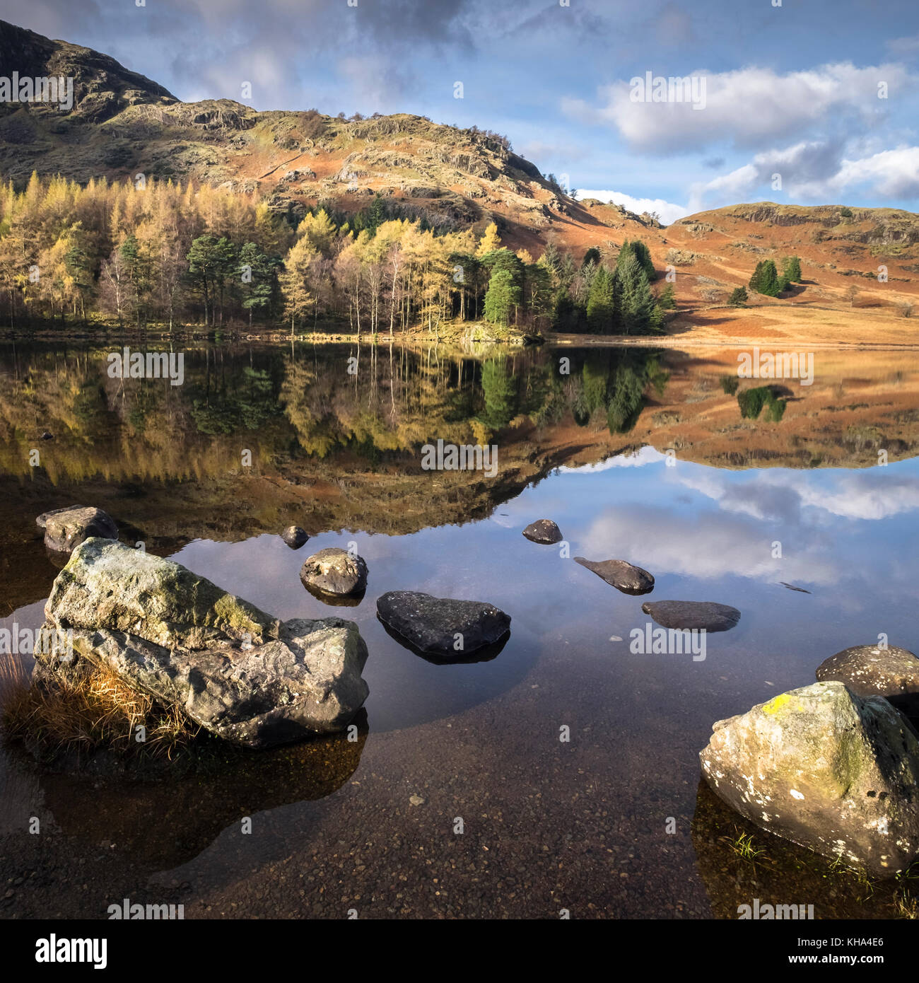 Blea Tarn autumn November landscape, Little Langdale, Lake District