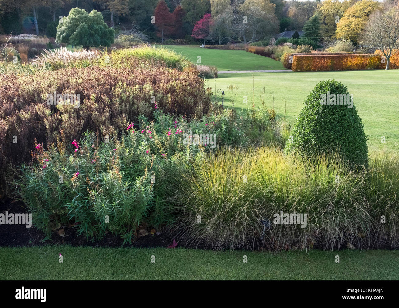 A large landscaped garden in autumn, featuring perennial border plants, trees and evergreen shrubs, Harlow Carr Garden, Harrogate, Yorkshire UK Stock Photo