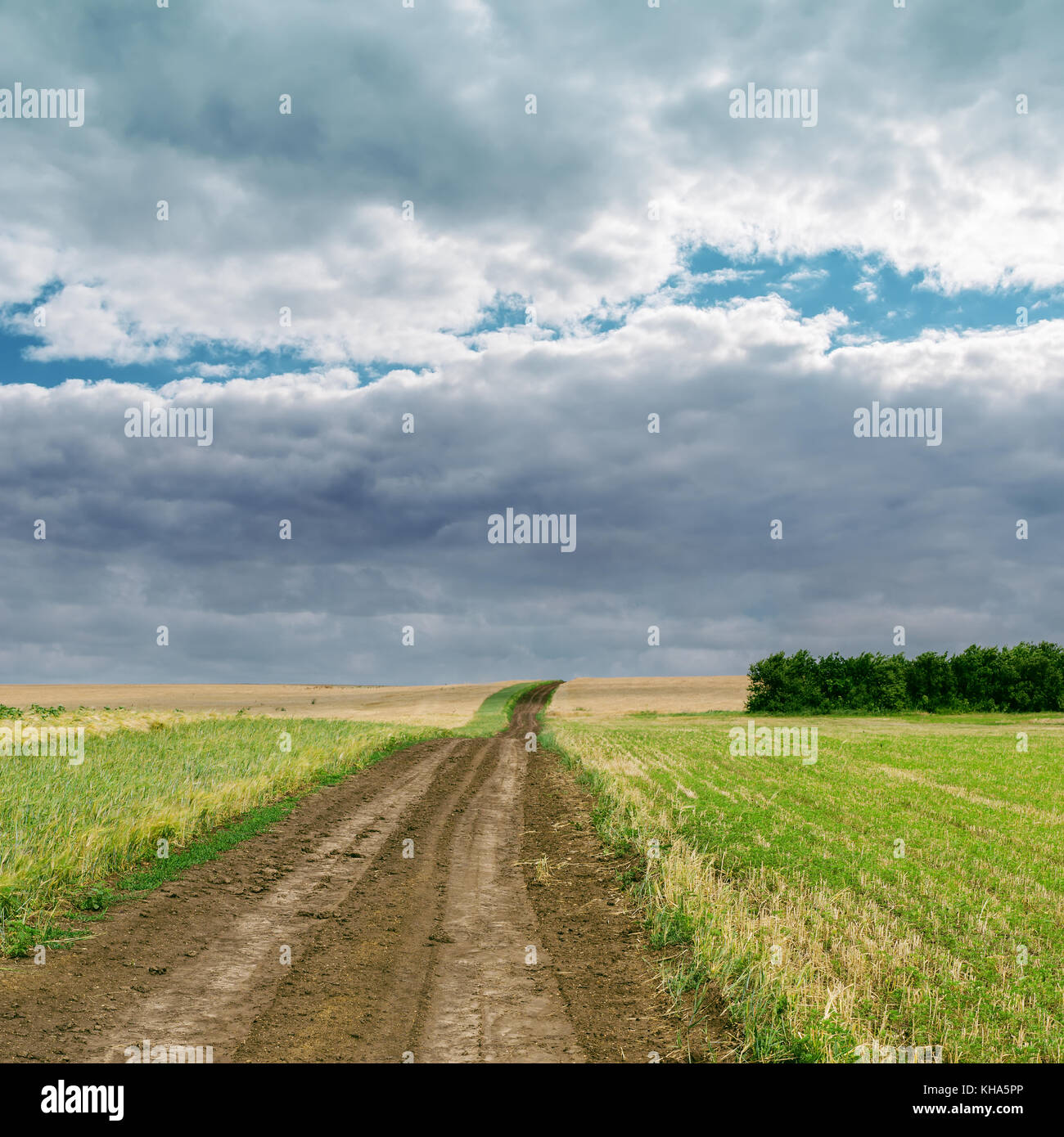 rural road in green field under cloudy sky Stock Photo - Alamy