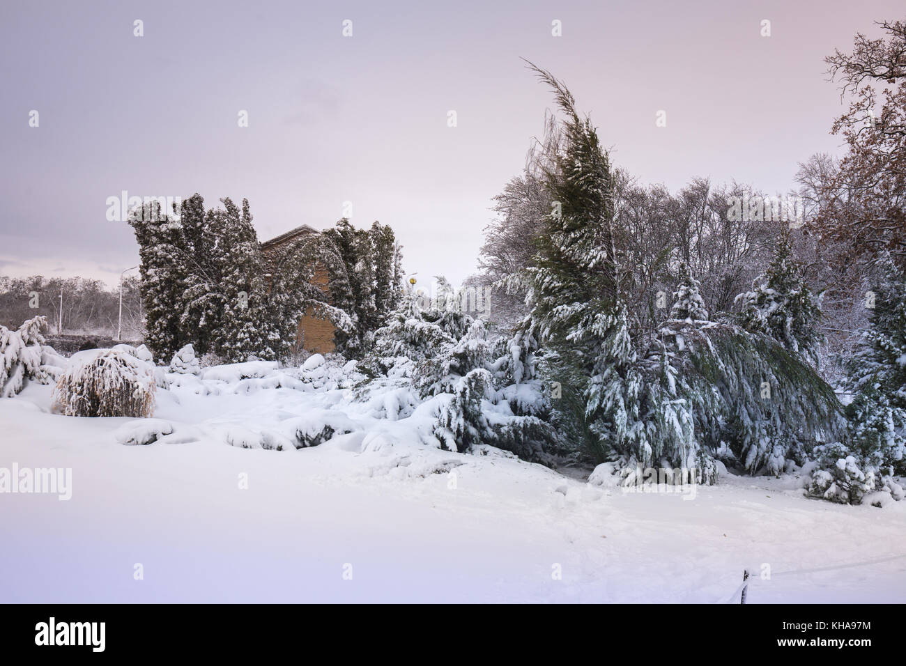 Beautiful winter snowy landscape in the park Stock Photo - Alamy