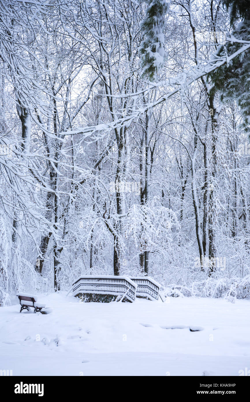 Beautiful winter snowy landscape in the park Stock Photo - Alamy