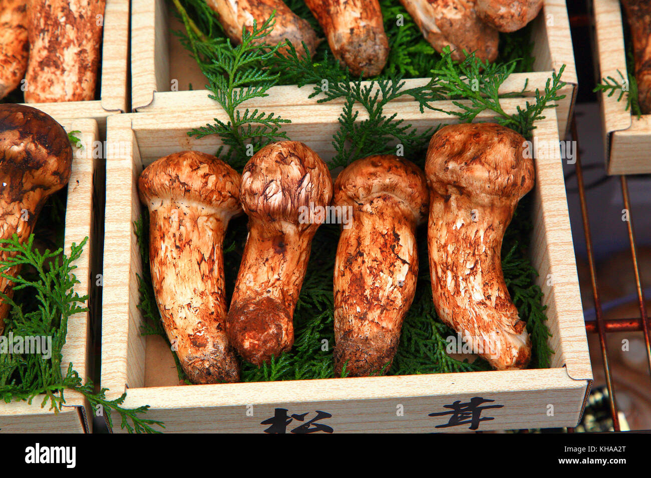 Japan, Tokyo, mushrooms Stock Photo Alamy
