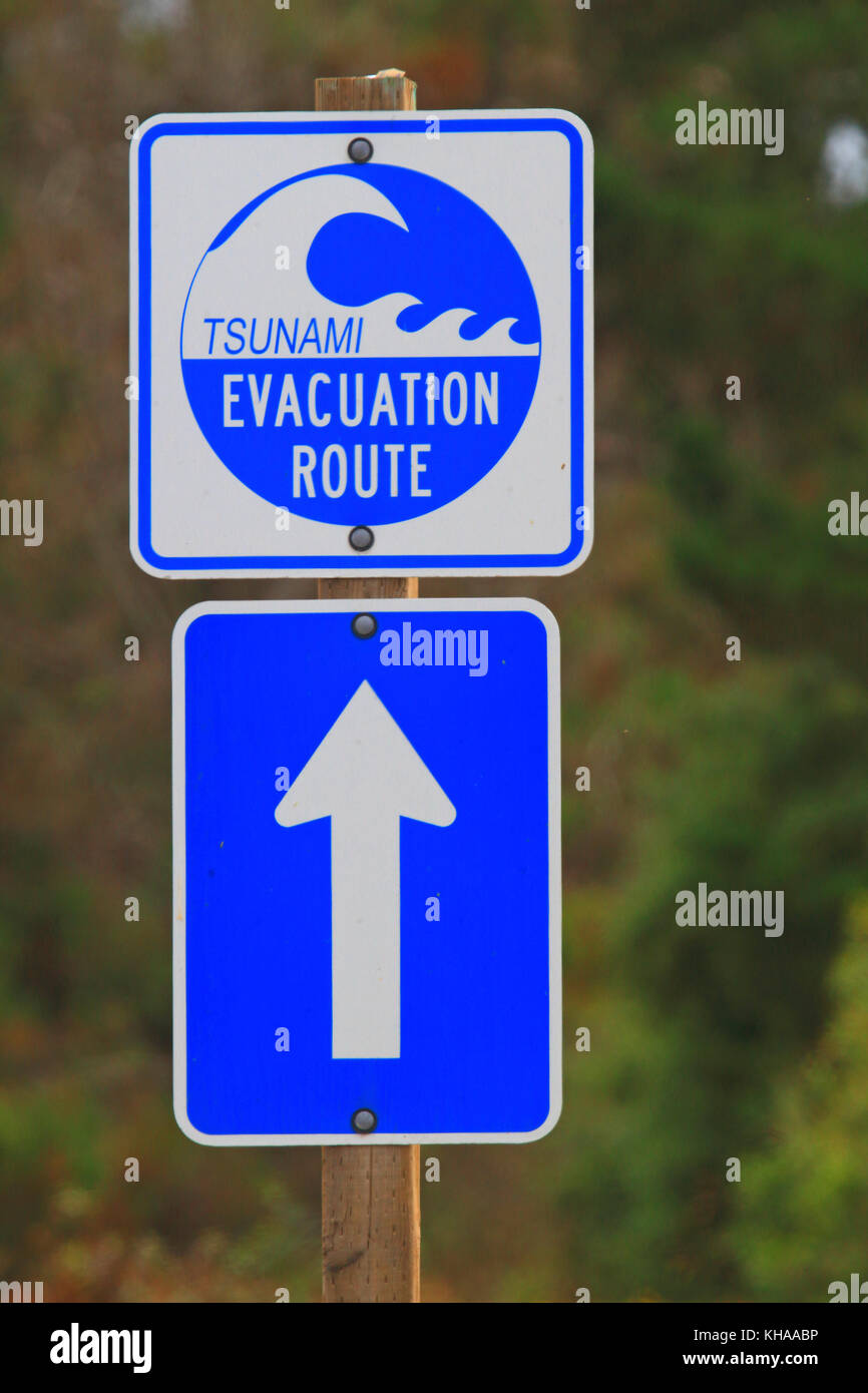 Tsunami zone socal