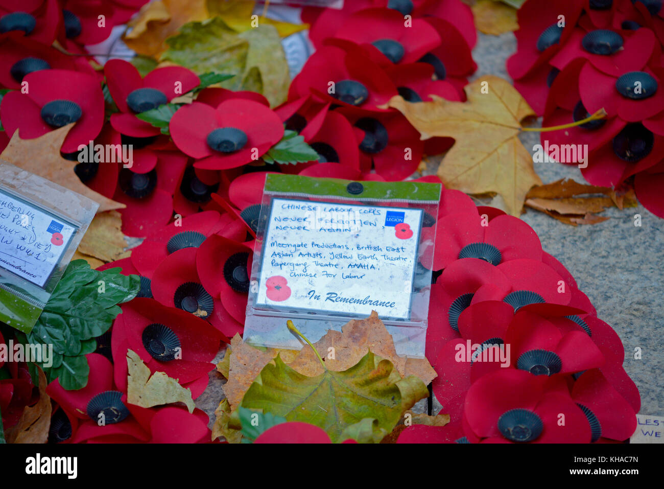 Dedication on poppy wreath by Chinese Labour Corps on the Cenotaph placed on Remembrance Sunday. Moongate productions, British East Asian Artists Stock Photo