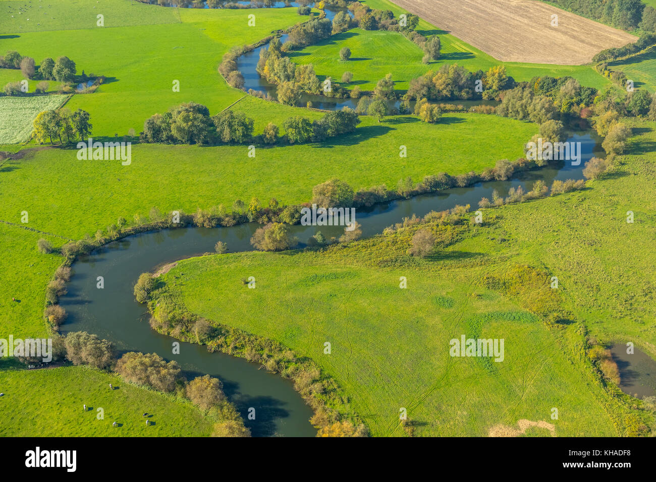 River Lippe, Lippe meadows, Lippe meadows, nature reserve, between Werne and Bergkamen, Ruhr Area, North Rhine-Westphalia Stock Photo