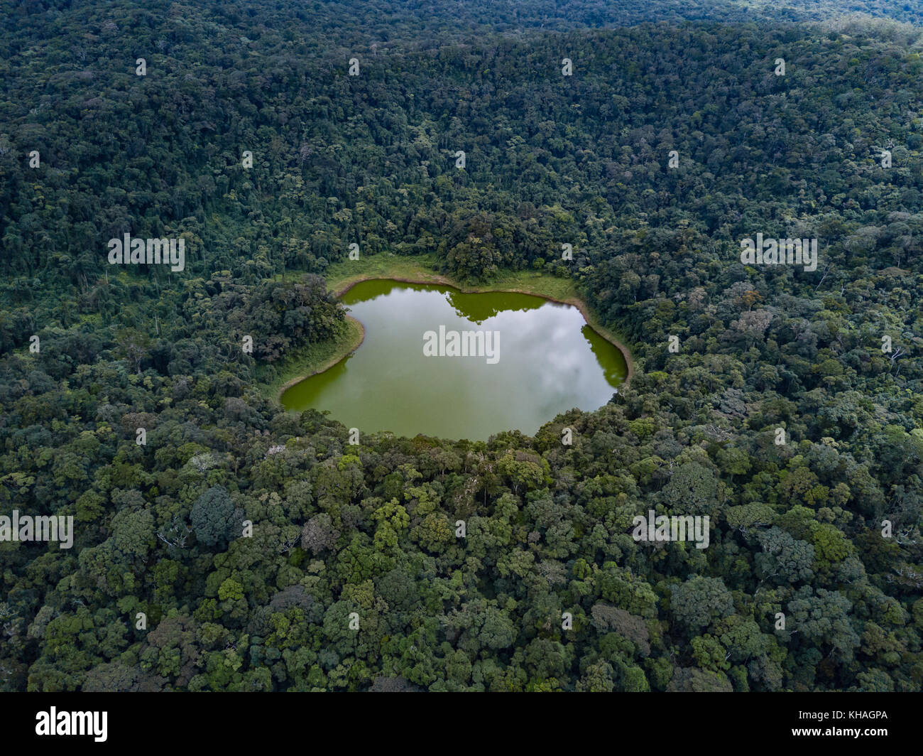 Lac Vert in the jungle, National Park Montagne d' Ambre, North Madagascar, Madagascar Stock Photo