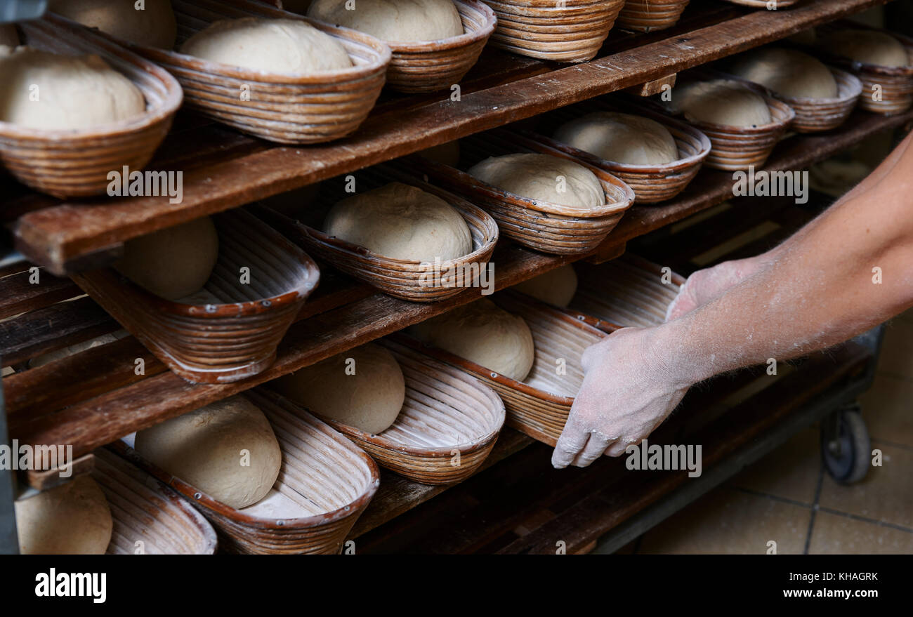 Organic bakery preparing bread loaves in baking baskets, Kerpen Eifel, Rhineland-Palatinate, Germany Stock Photo