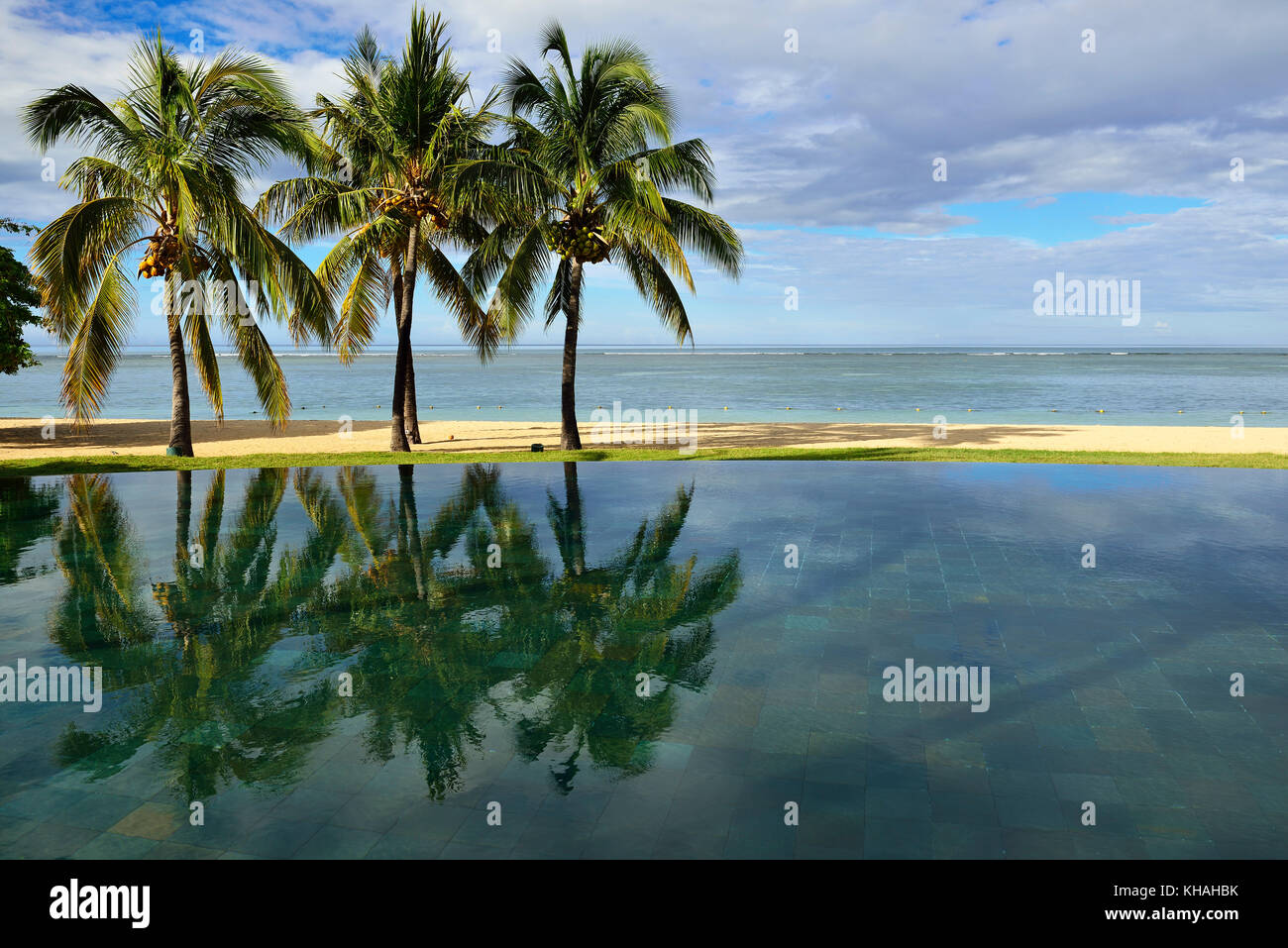 Palms, Infinity Pool of the Maradiva Villas Resort, Mauritius, Indian Ocean Stock Photo