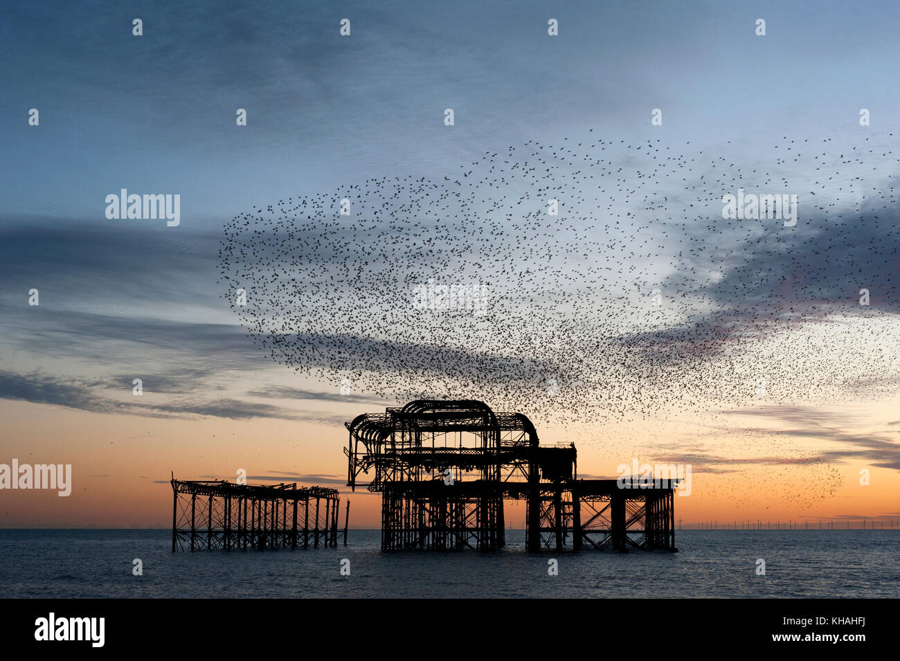 Murmuration over the ruins of Brighton's West Pier on the south coast of England. A flock starlings perform aerial acrobatics over the pier at dusk. Stock Photo