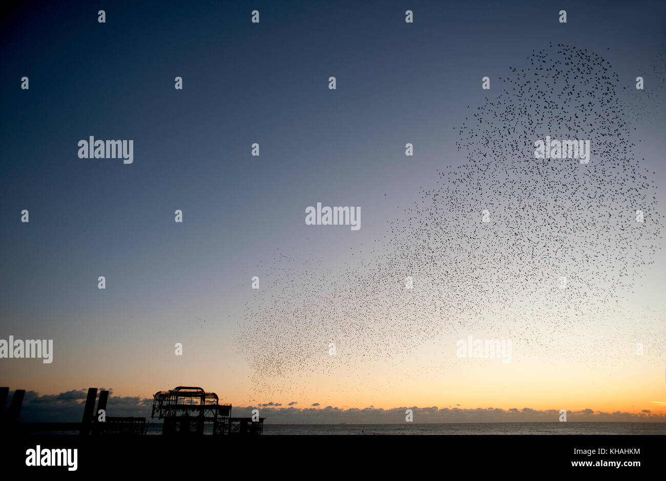 Murmuration over the ruins of Brighton's West Pier on the south coast of England. A flock starlings perform aerial acrobatics over the pier at dusk. Stock Photo