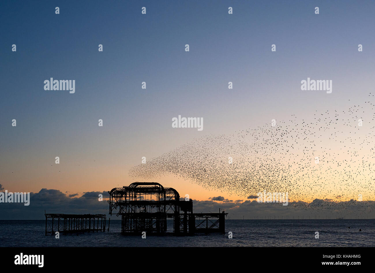 Murmuration over the ruins of Brighton's West Pier on the south coast of England. A flock starlings perform aerial acrobatics over the pier at sunset. Stock Photo