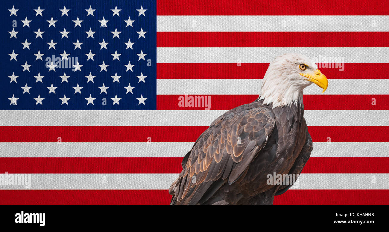 American flag and Bald Eagle. National symbols of USA. Patriotic US banner, emblem, background. Flag of the United States of America with real detaile Stock Photo