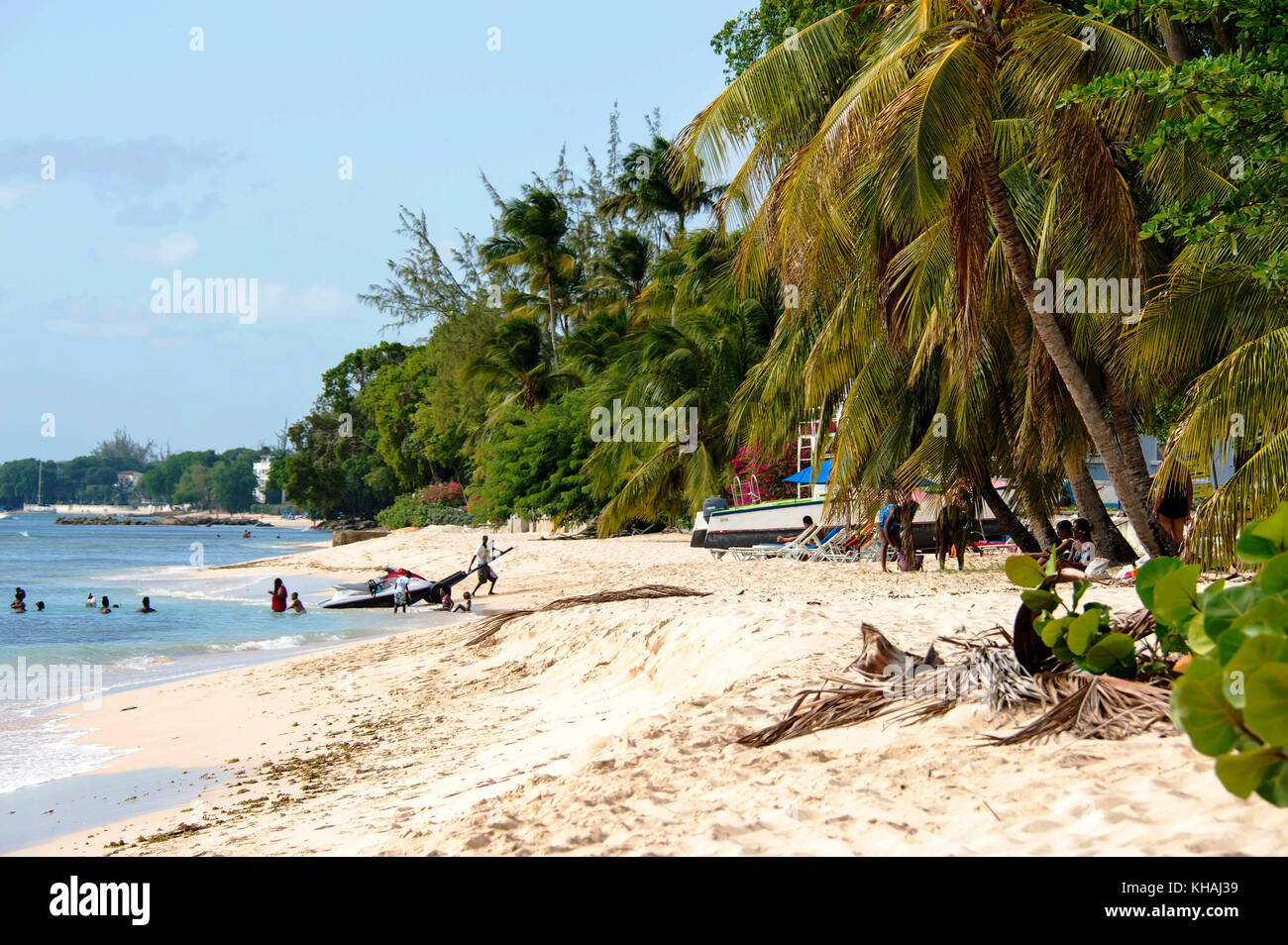 Beaches in Barbados Stock Photo Alamy