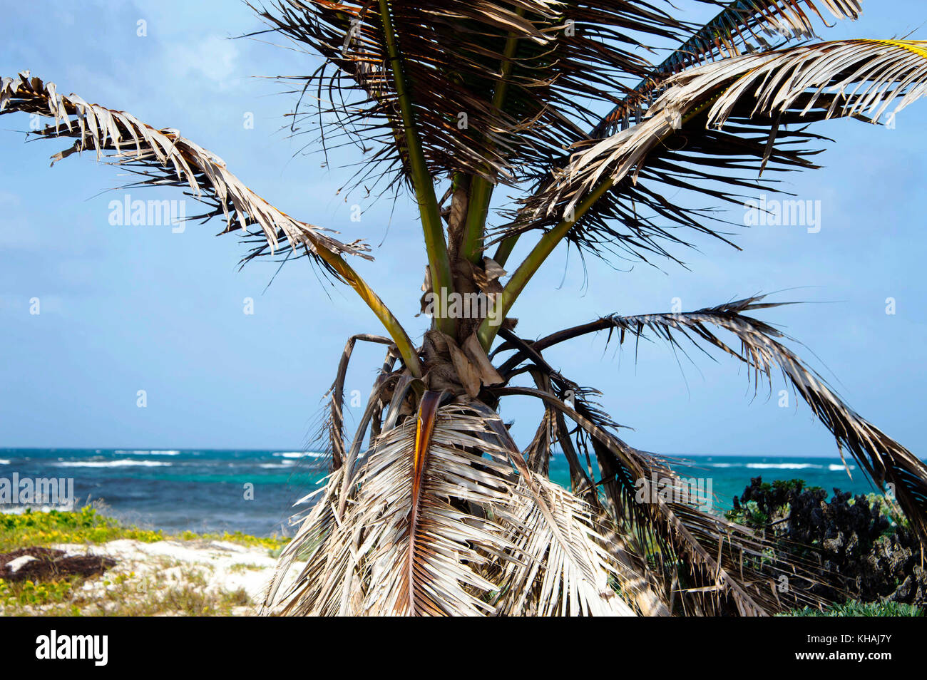 Silversands Beach; Silver Sands; Christ Church; Barbados Stock Photo