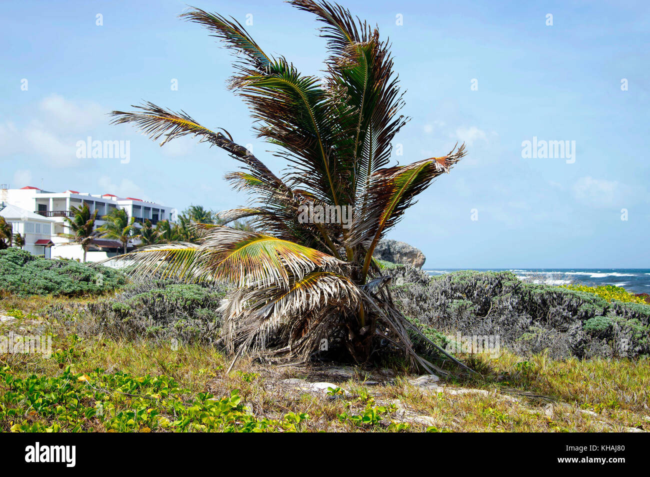 Silversands Beach; Silver Sands; Christ Church; Barbados Stock Photo