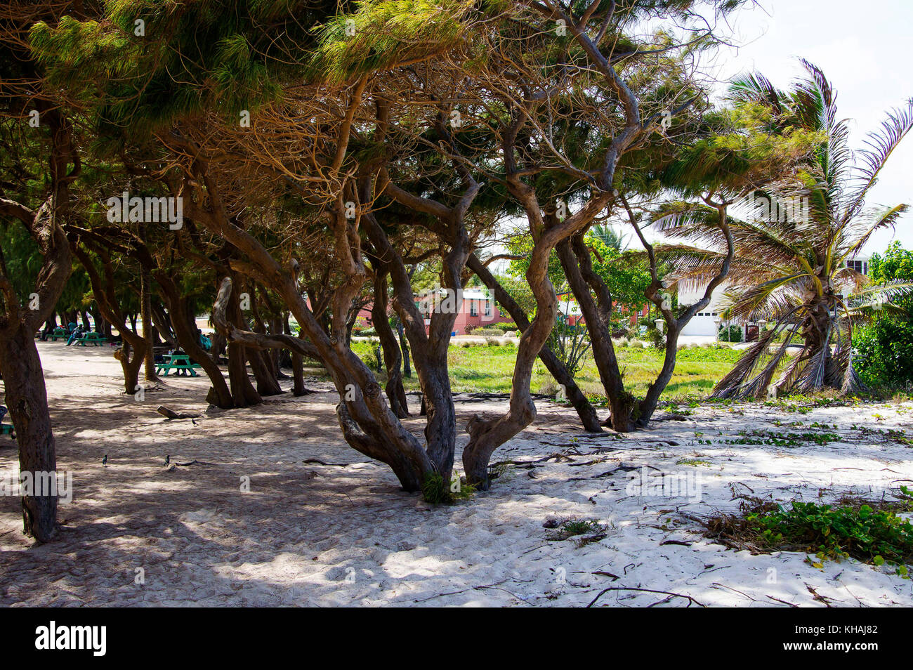 Silversands Beach; Silver Sands; Christ Church; Barbados Stock Photo