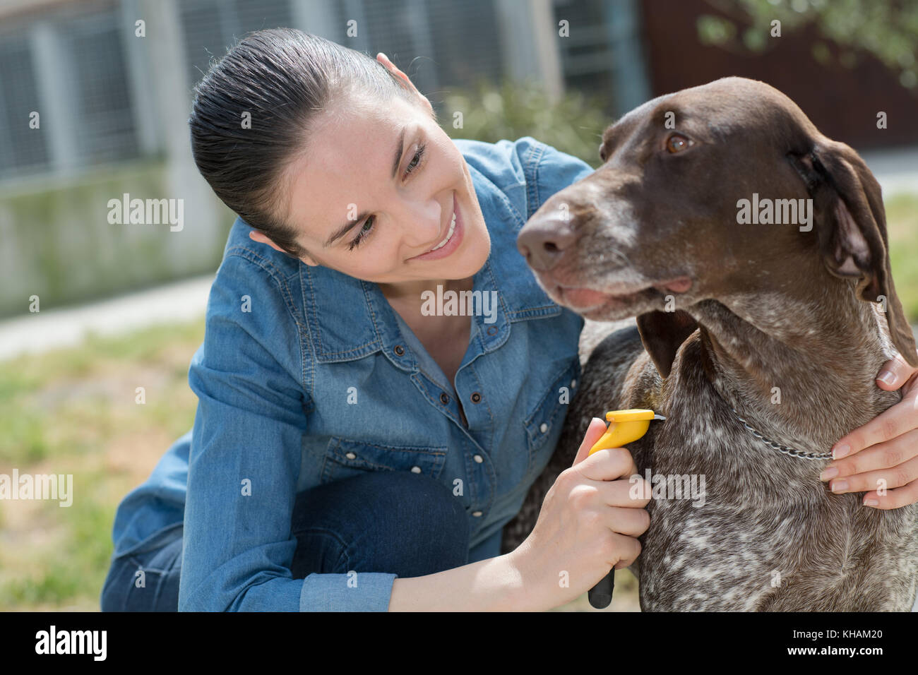 female vet stroking dog at animal shelter Stock Photo